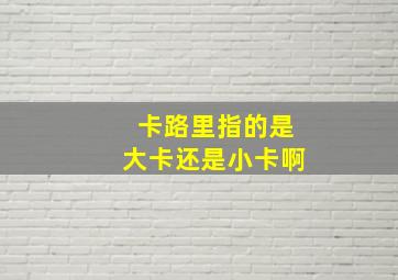 卡路里指的是大卡还是小卡啊