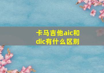 卡马吉他aic和dic有什么区别