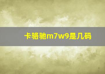 卡骆驰m7w9是几码