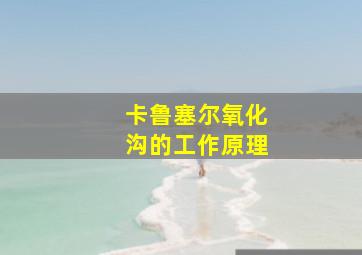 卡鲁塞尔氧化沟的工作原理