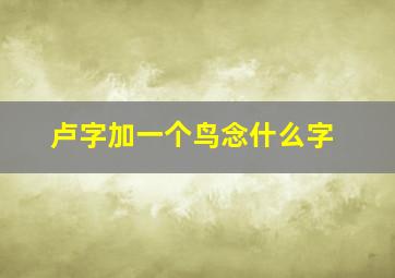 卢字加一个鸟念什么字