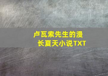 卢瓦索先生的漫长夏天小说TXT