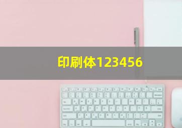 印刷体123456