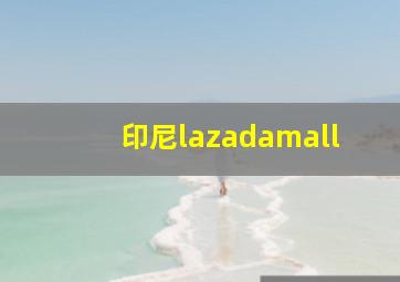 印尼lazadamall