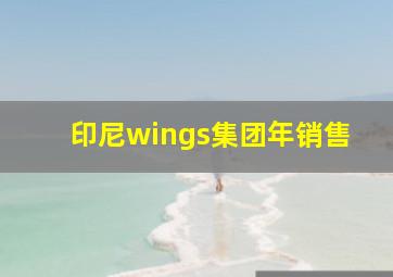 印尼wings集团年销售