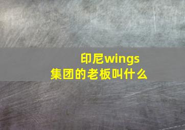 印尼wings集团的老板叫什么