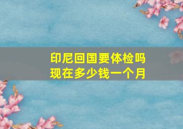 印尼回国要体检吗现在多少钱一个月