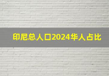 印尼总人口2024华人占比