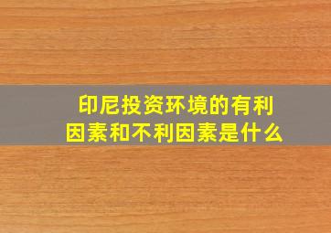 印尼投资环境的有利因素和不利因素是什么