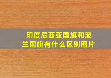 印度尼西亚国旗和波兰国旗有什么区别图片