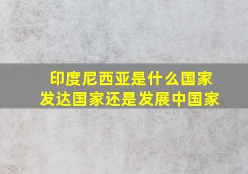 印度尼西亚是什么国家发达国家还是发展中国家