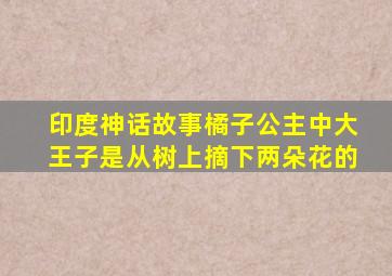 印度神话故事橘子公主中大王子是从树上摘下两朵花的