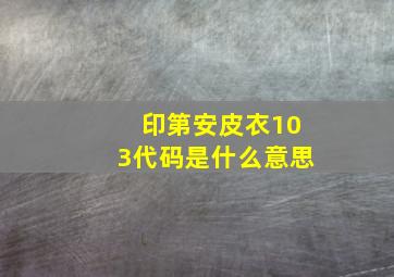 印第安皮衣103代码是什么意思