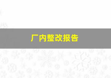 厂内整改报告