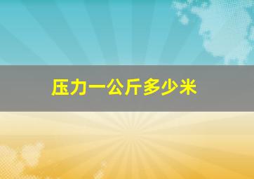 压力一公斤多少米