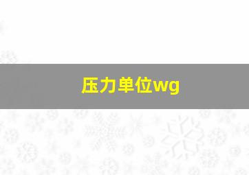 压力单位wg