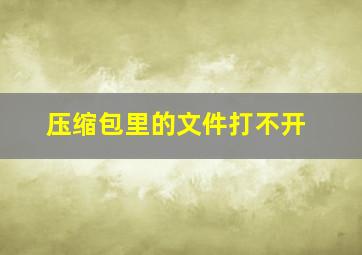 压缩包里的文件打不开