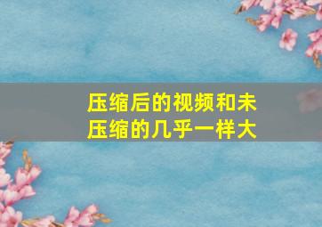 压缩后的视频和未压缩的几乎一样大