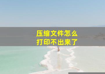 压缩文件怎么打印不出来了