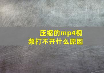 压缩的mp4视频打不开什么原因