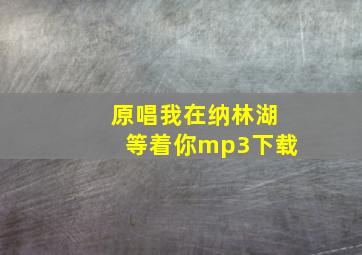 原唱我在纳林湖等着你mp3下载