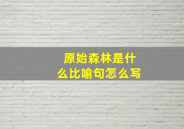 原始森林是什么比喻句怎么写