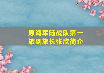 原海军陆战队第一旅副旅长张欣简介