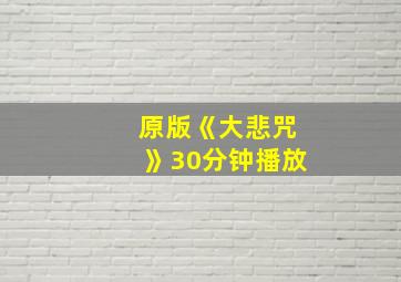 原版《大悲咒》30分钟播放