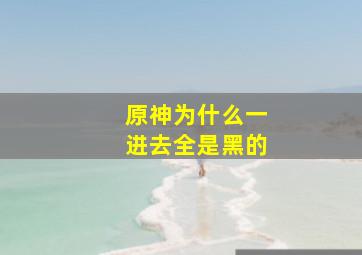 原神为什么一进去全是黑的