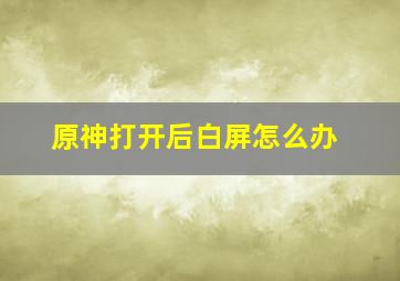 原神打开后白屏怎么办