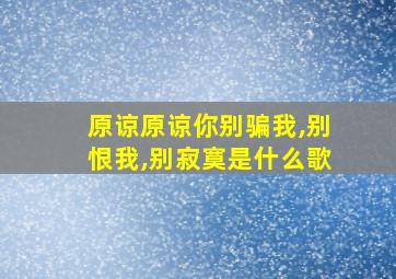 原谅原谅你别骗我,别恨我,别寂寞是什么歌