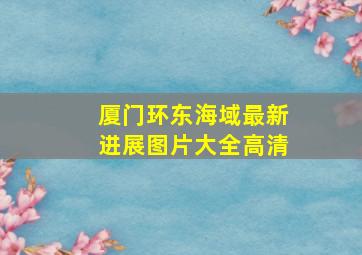 厦门环东海域最新进展图片大全高清