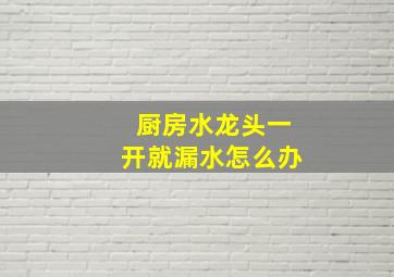 厨房水龙头一开就漏水怎么办