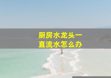 厨房水龙头一直流水怎么办