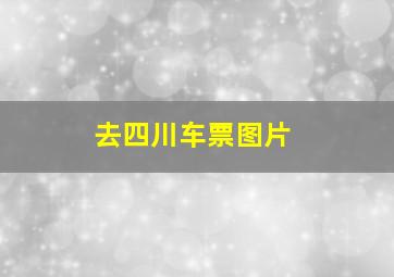 去四川车票图片