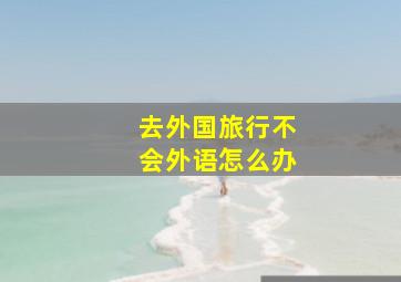 去外国旅行不会外语怎么办