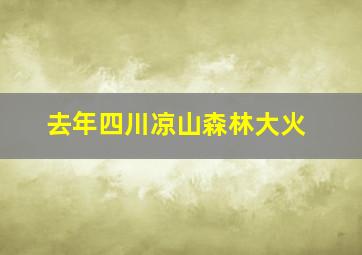 去年四川凉山森林大火