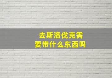 去斯洛伐克需要带什么东西吗