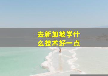 去新加坡学什么技术好一点