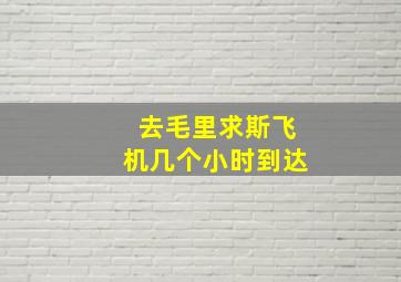 去毛里求斯飞机几个小时到达