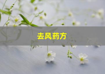 去风药方