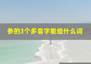 参的3个多音字能组什么词