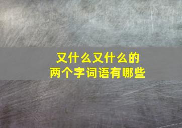 又什么又什么的两个字词语有哪些