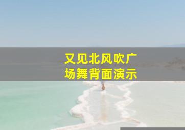 又见北风吹广场舞背面演示