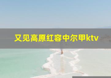 又见高原红容中尔甲ktv