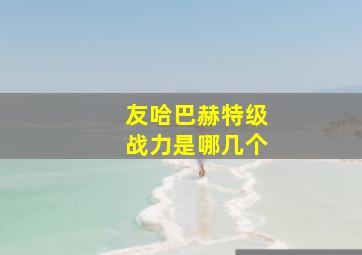 友哈巴赫特级战力是哪几个