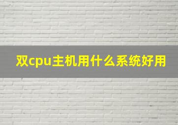 双cpu主机用什么系统好用