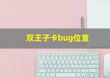 双王子卡bug位置