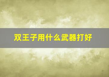 双王子用什么武器打好