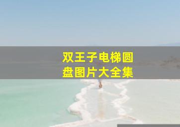 双王子电梯圆盘图片大全集